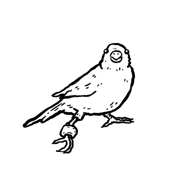 Canary card artwork from the Shroom and Gloom Demo